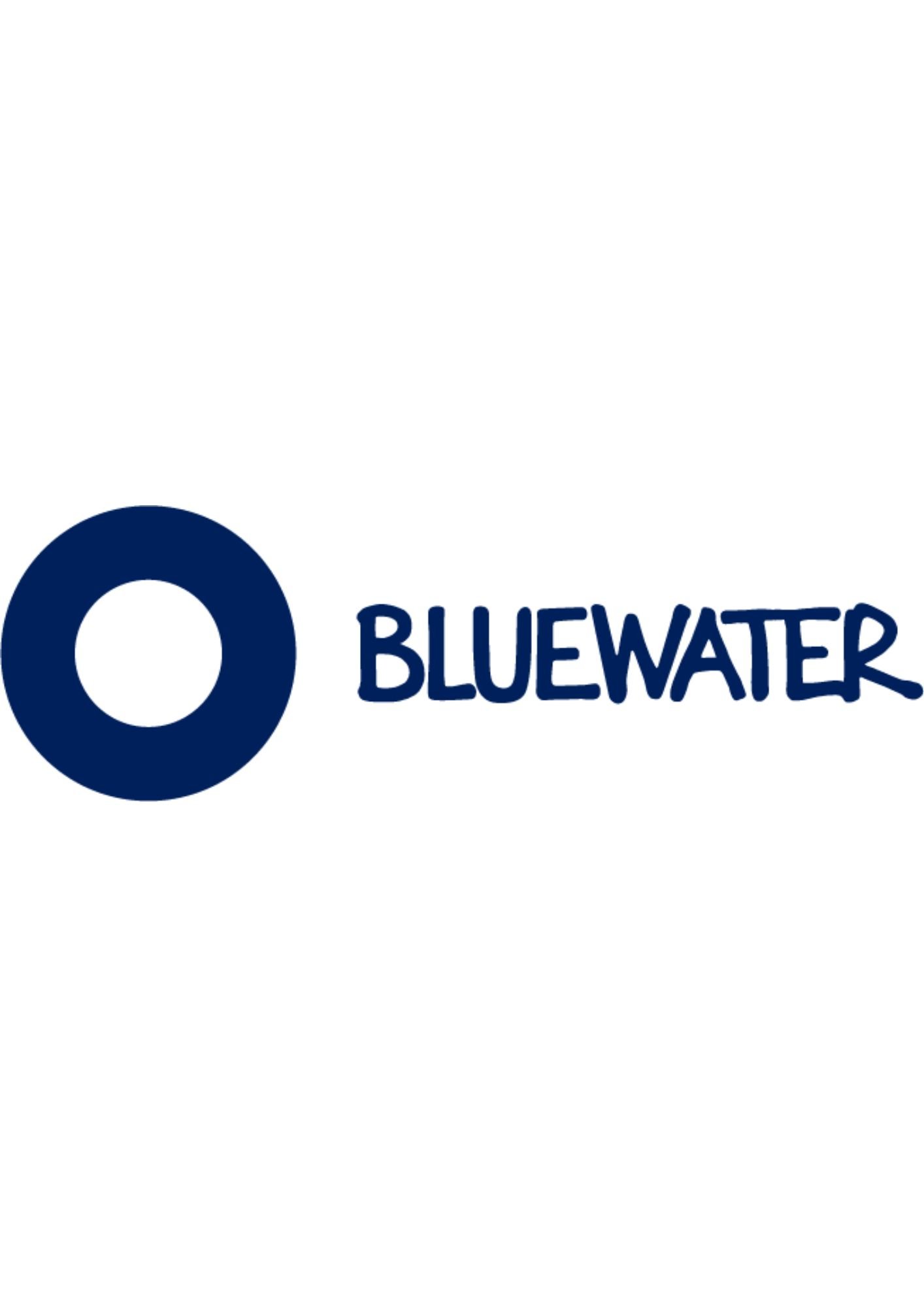 BLUEWATER GROUP ENDÜSTRİYEL ÜRÜNLER PAZARLAMA SANAYİ TİC  - Logo